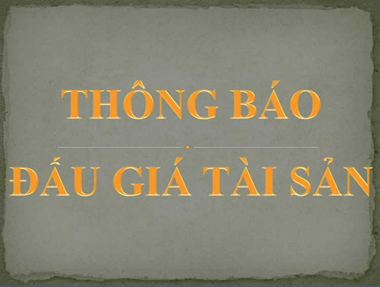 Danh sách tài sản đấu giá